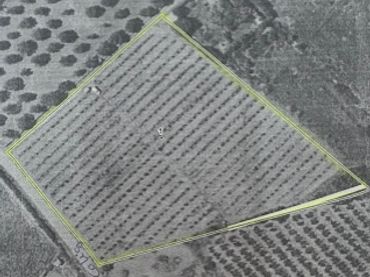 Terrain rustique à vendre à Carretera Vell de Benicarló a Càlig