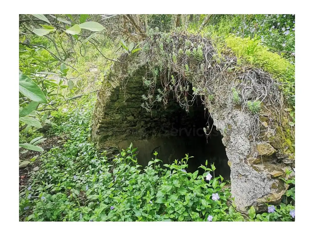 Finca rústica en venda en Jubrique
