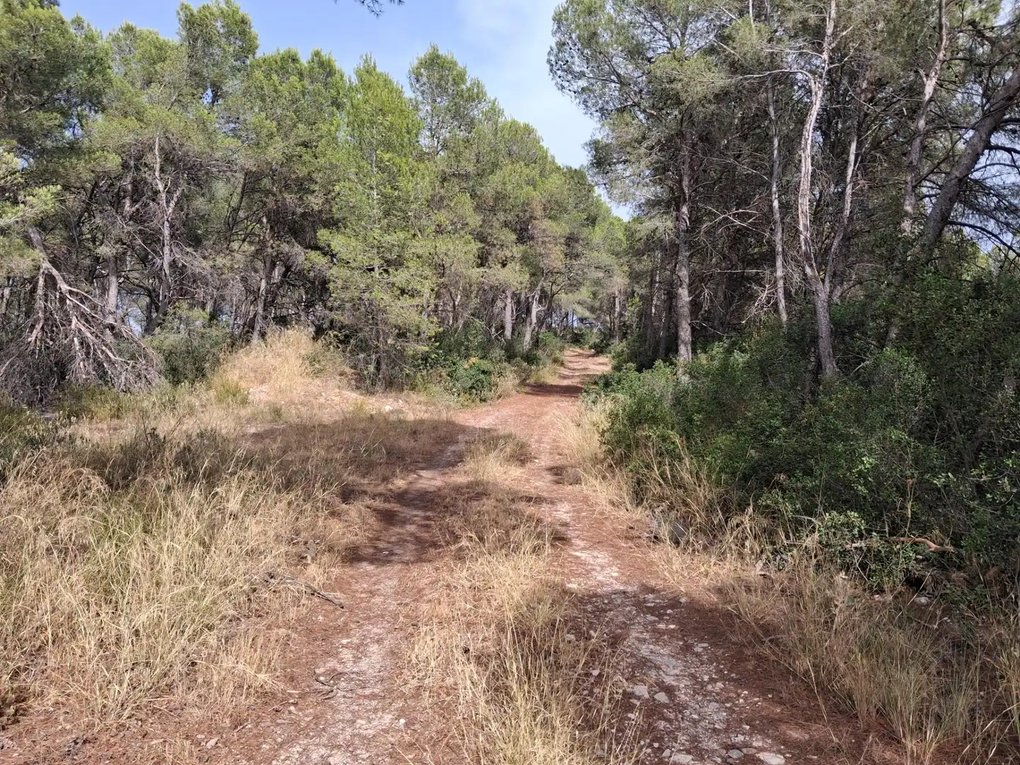 Rural land for sale in Gandesa, imagen 43