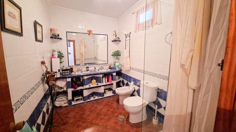 Foto 4 de Finca rústica en venda a Carretera Almachar-velez (triana) (triana-zorrilla, Norte - Barrio del Pilar - El Reñidero, Vélez-Málaga
