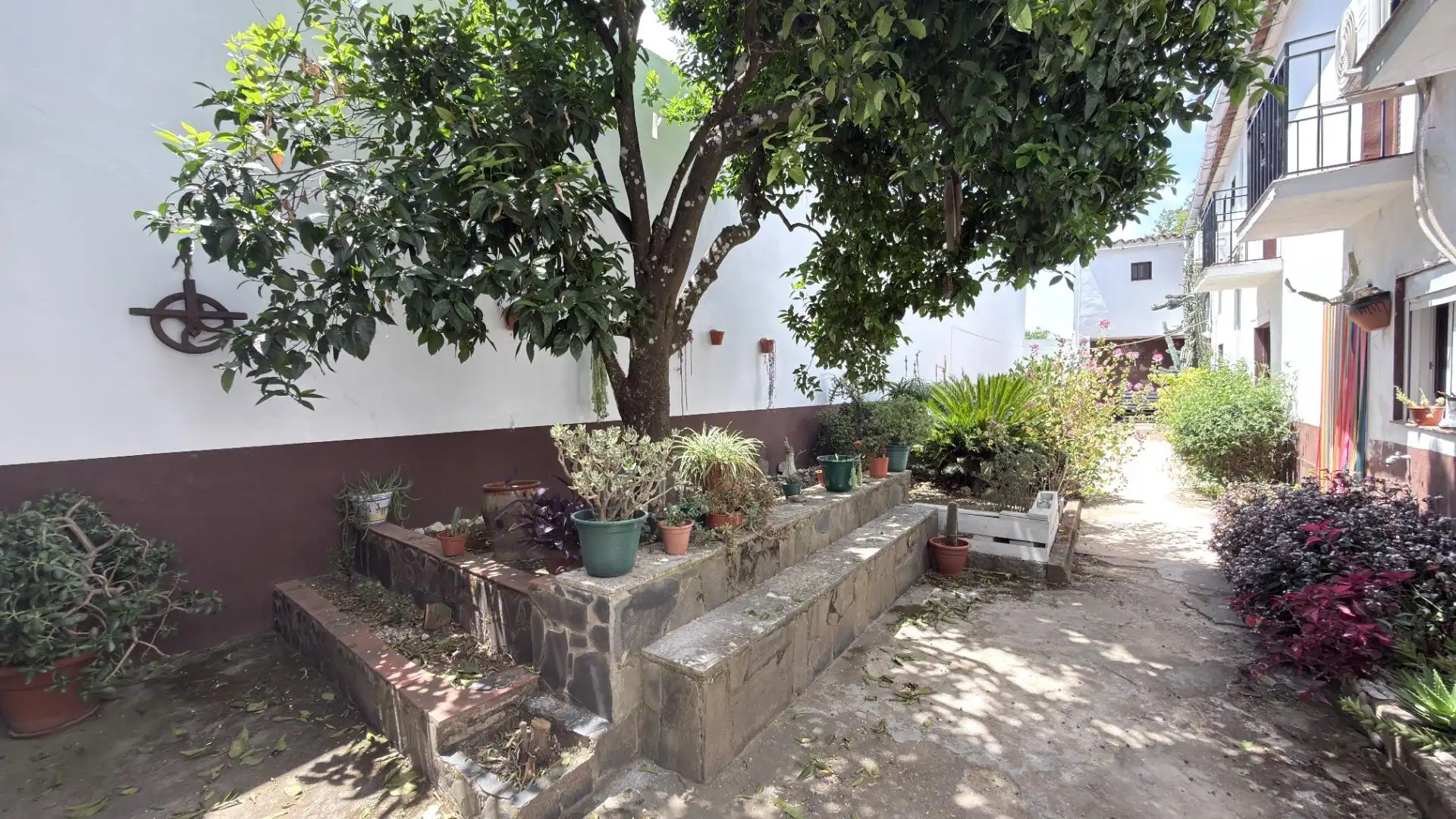 Terrassa de Edifici en venda en Cortegana