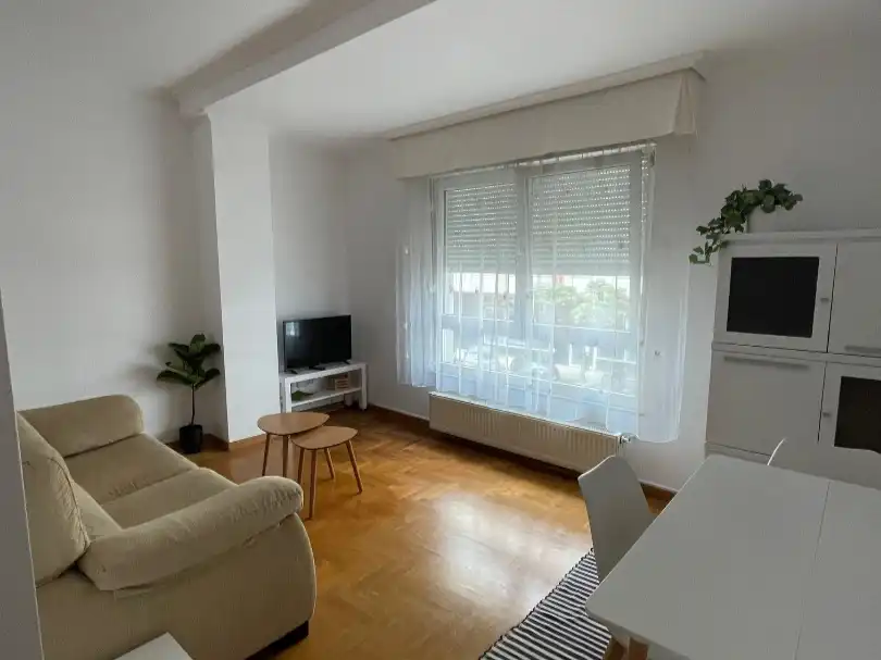 Sala d'estar de Pis de lloguer en Ribadeo amb Calefacció, Parquet i Moblat