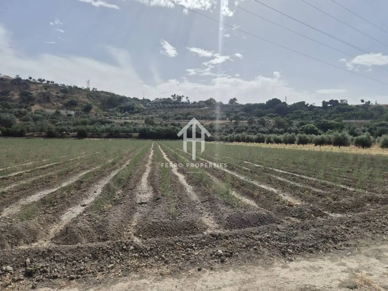 Terrain rustique à vendre à Loja, imagen 4