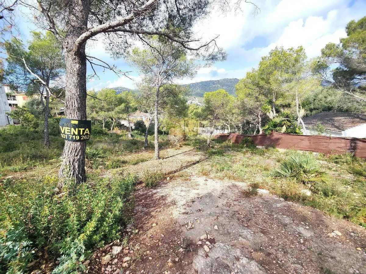 Terrenos y solares en venta en Canyelles, imagen 10