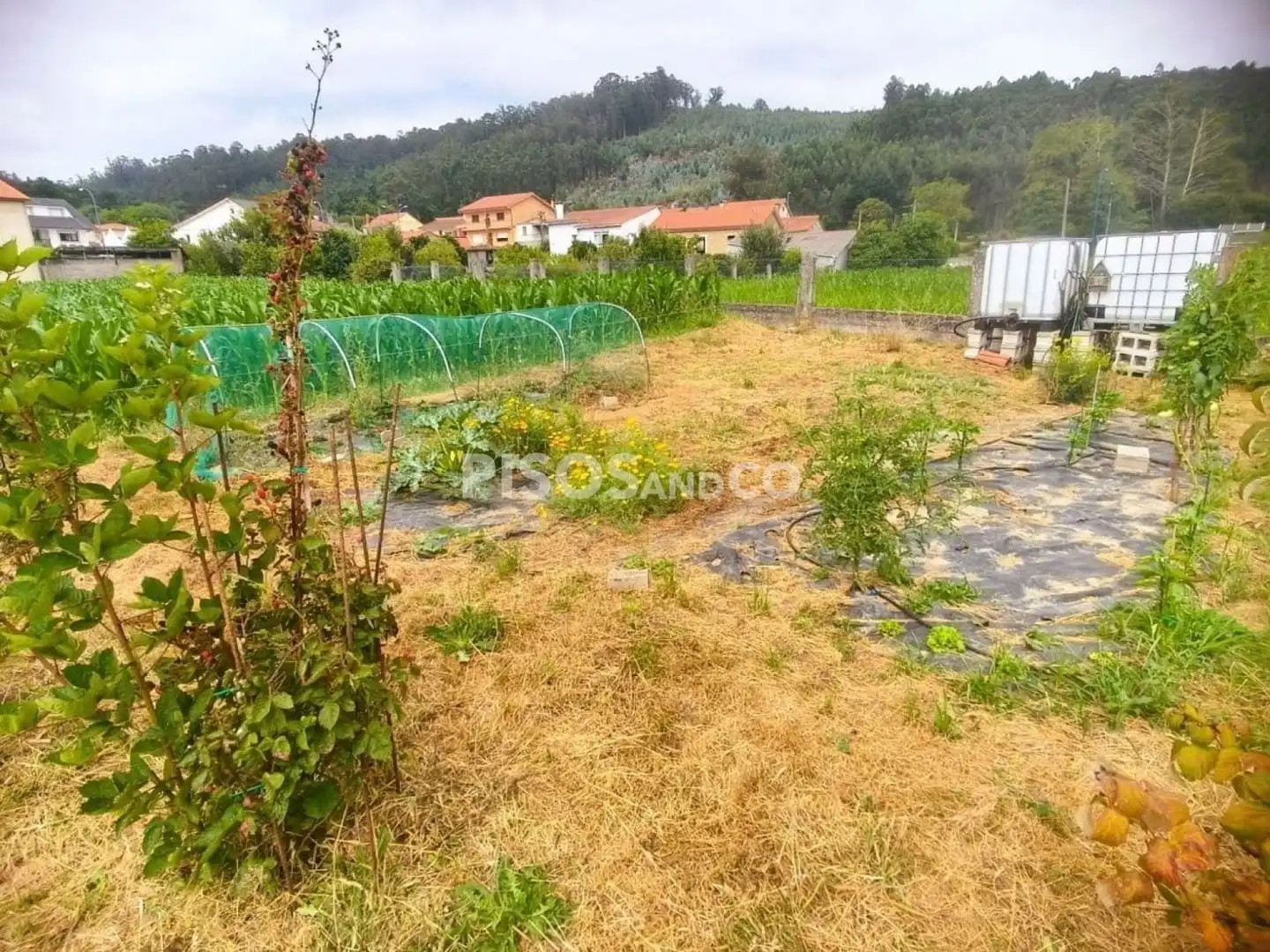 Terreni e lotti in vendita a Lugar CORTIÑA, imagen 10