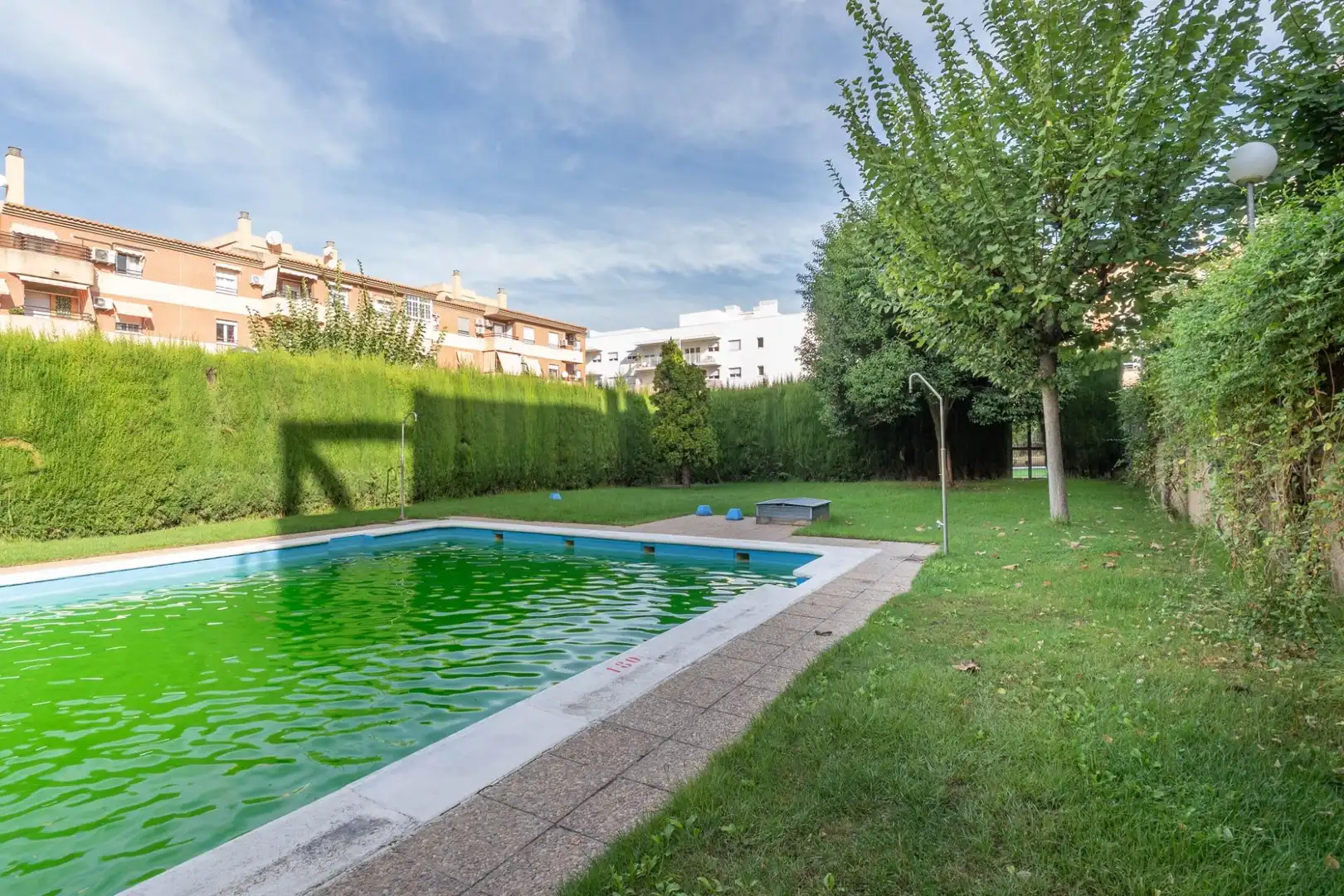 Piso con piscina en venta en Norte, imagen 58