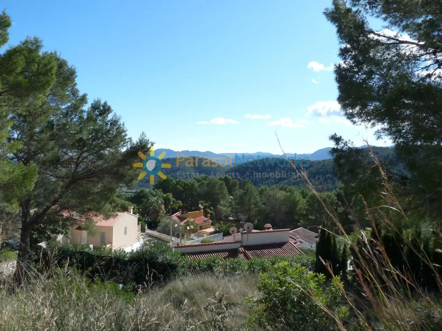 Terreno residencial en venta en Oliva pueblo, imagen 2