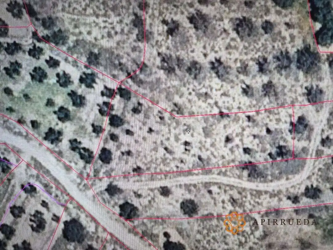 Terreno rustico in vendita a Escatrón, imagen 2