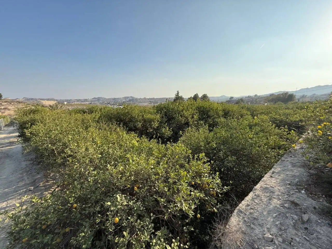 Residential land for sale in Villanueva del Río Segura