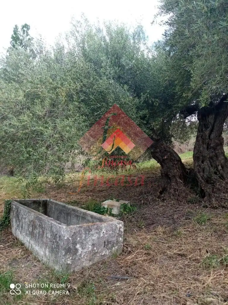 Casa rústica en venda a Casco Histórico, imagen 27