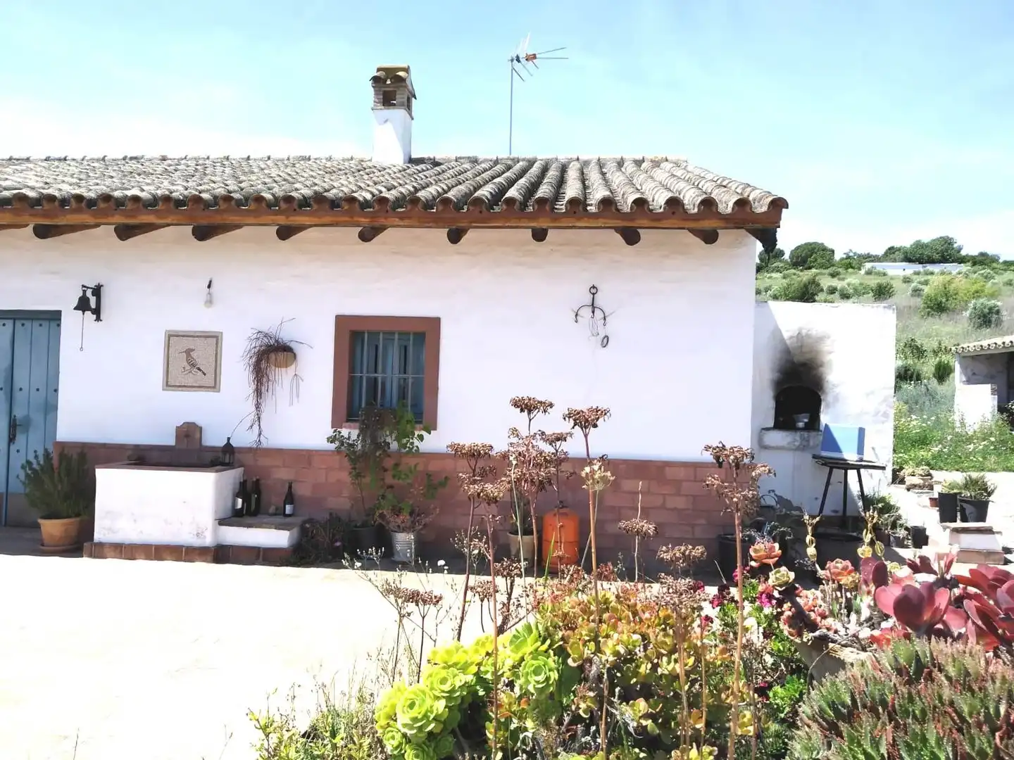 Terreny rústic en venda a Arcos de la Frontera, imagen 2