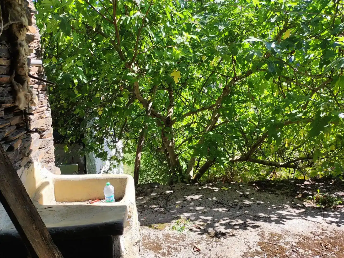 Jardí de Finca rústica en venda en Oencia amb Balcó