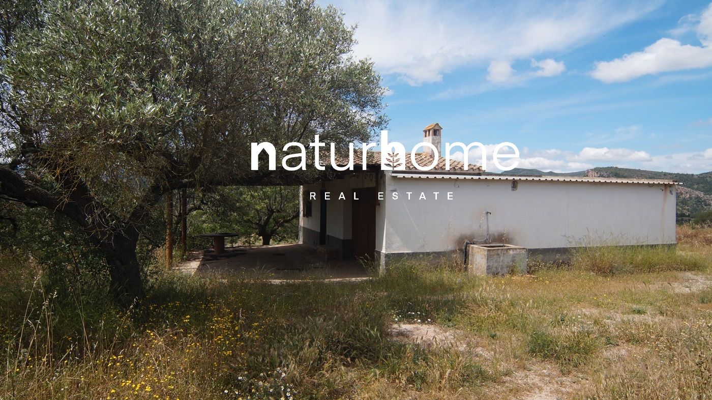Land for sale in Ginestar