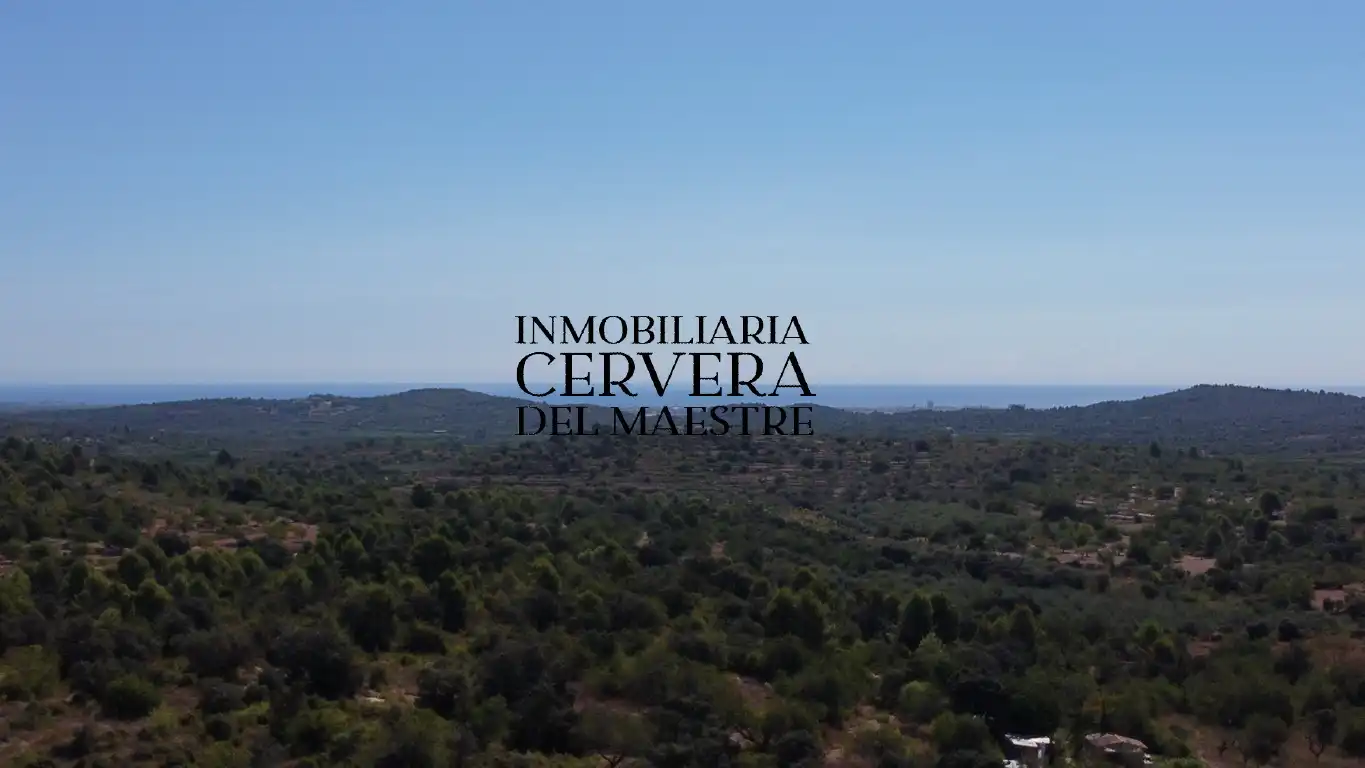 Terreno rustico in vendita a Cervera del Maestre, imagen 8