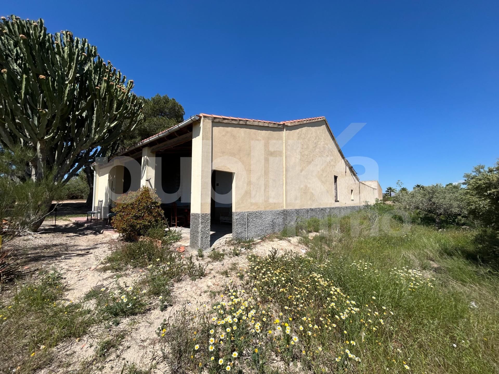 Vista exterior de Finca rústica en venda en Elche / Elx amb Jardí privat