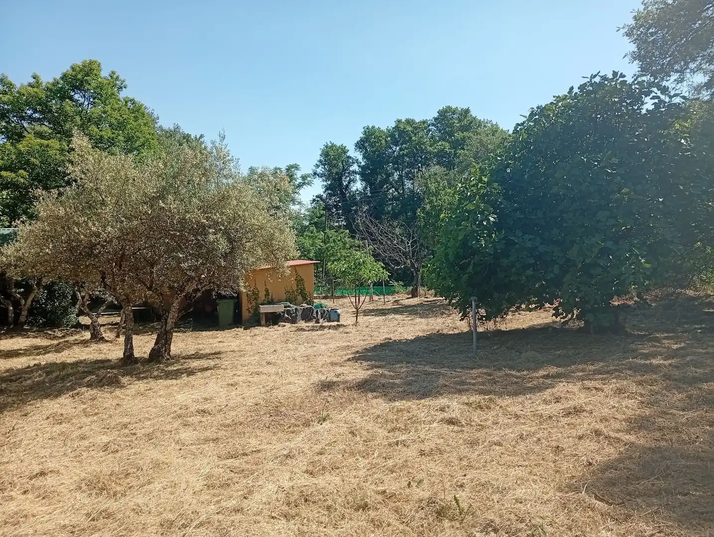 Terreni e lotti in vendita a Villanueva de la Vera, imagen 28
