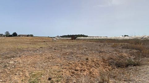 Foto 3 de Finca rústica en venta en Núcleo urbano, Aljaraque