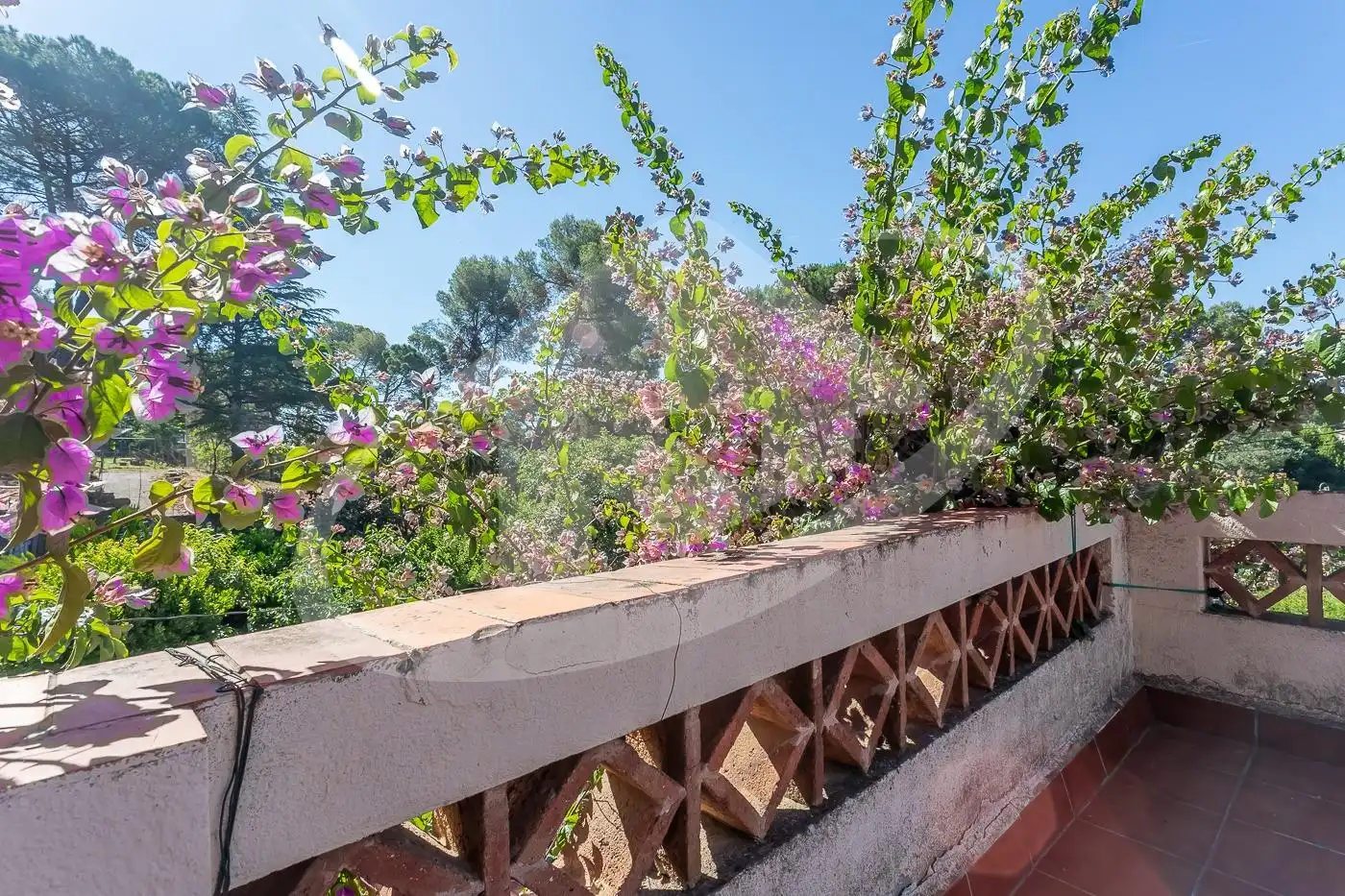House with terrace for sale in Calle JOSEP PLA, imagen 47