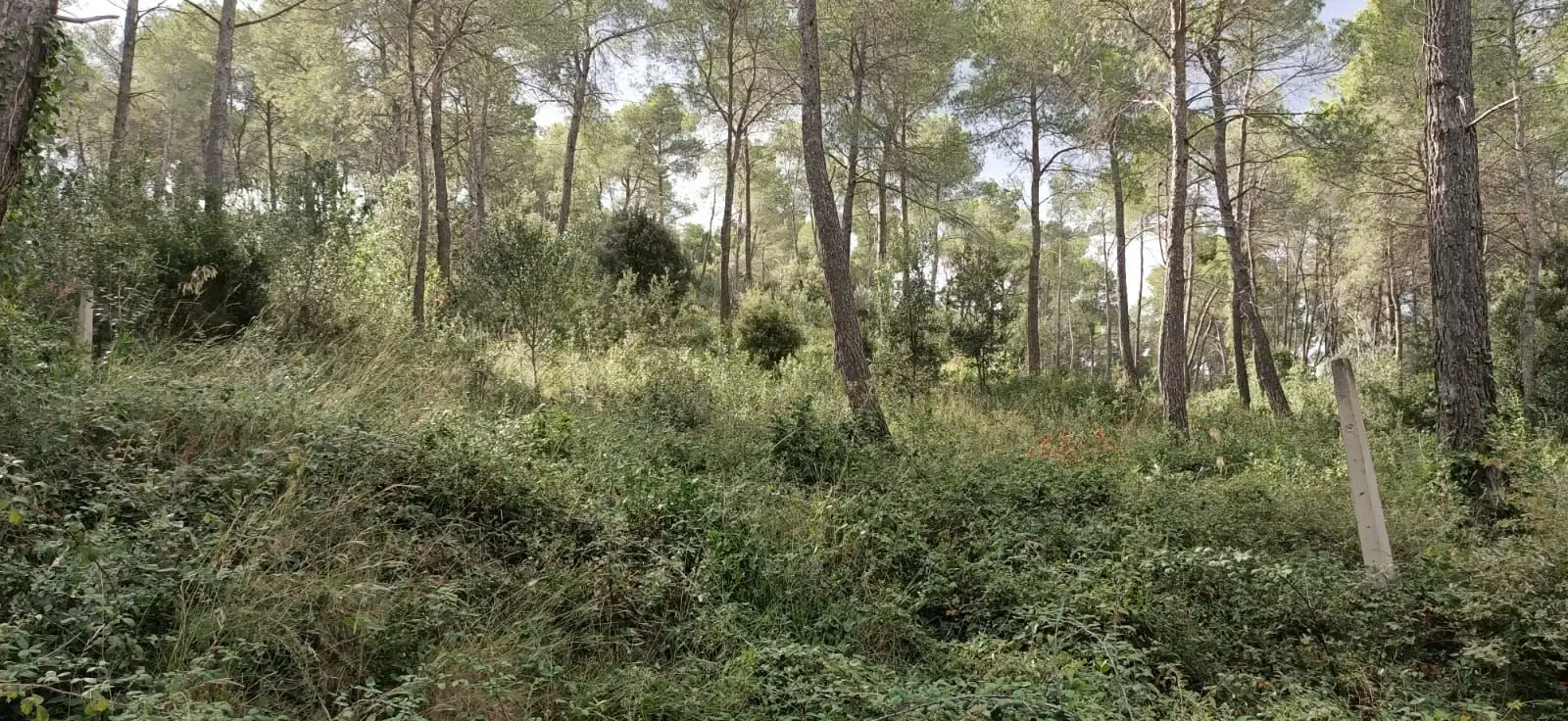 Wohnbaugrundstück zum Verkauf in Corbera de Llobregat