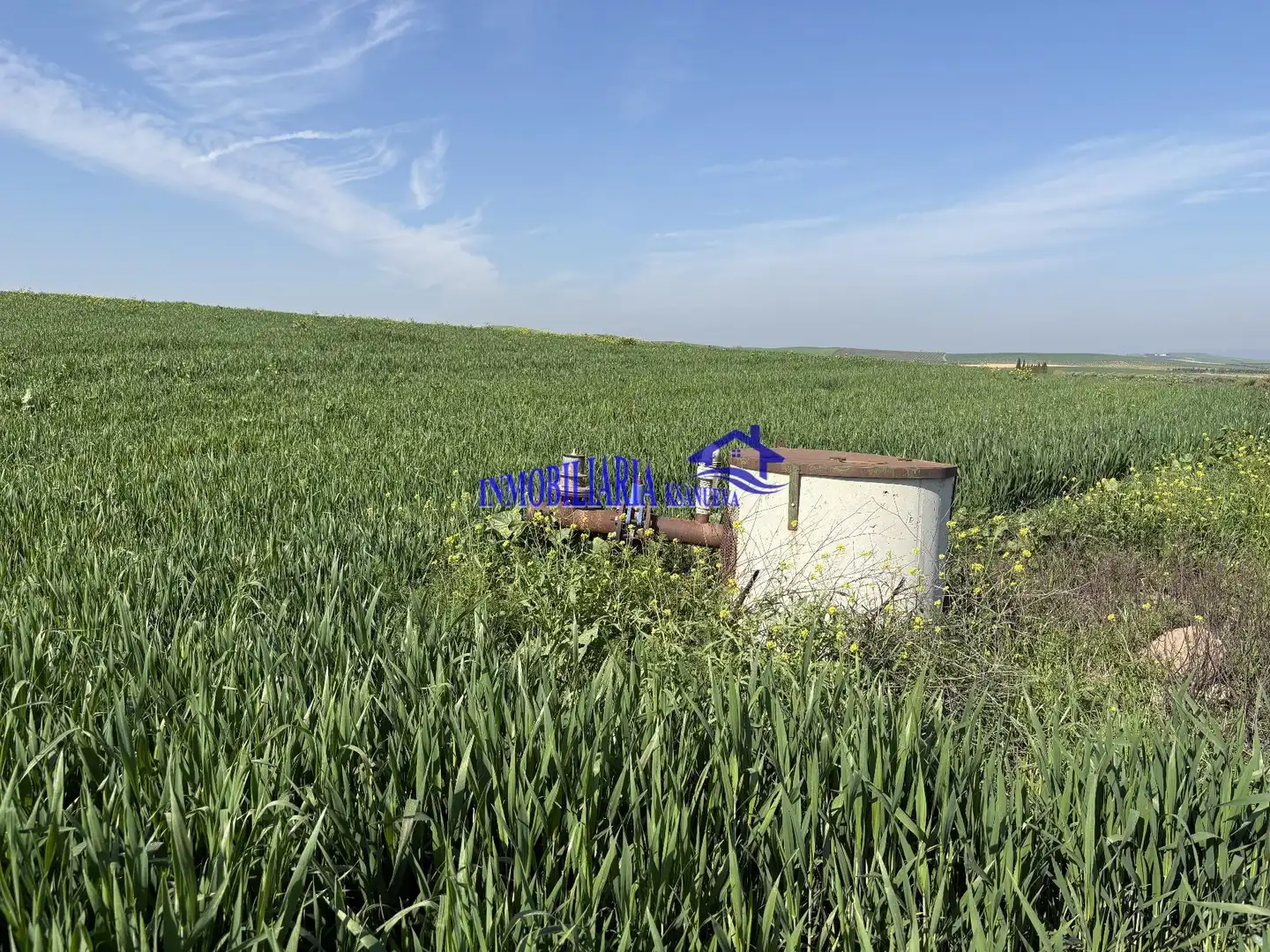 Country homes for sale in El Carpio