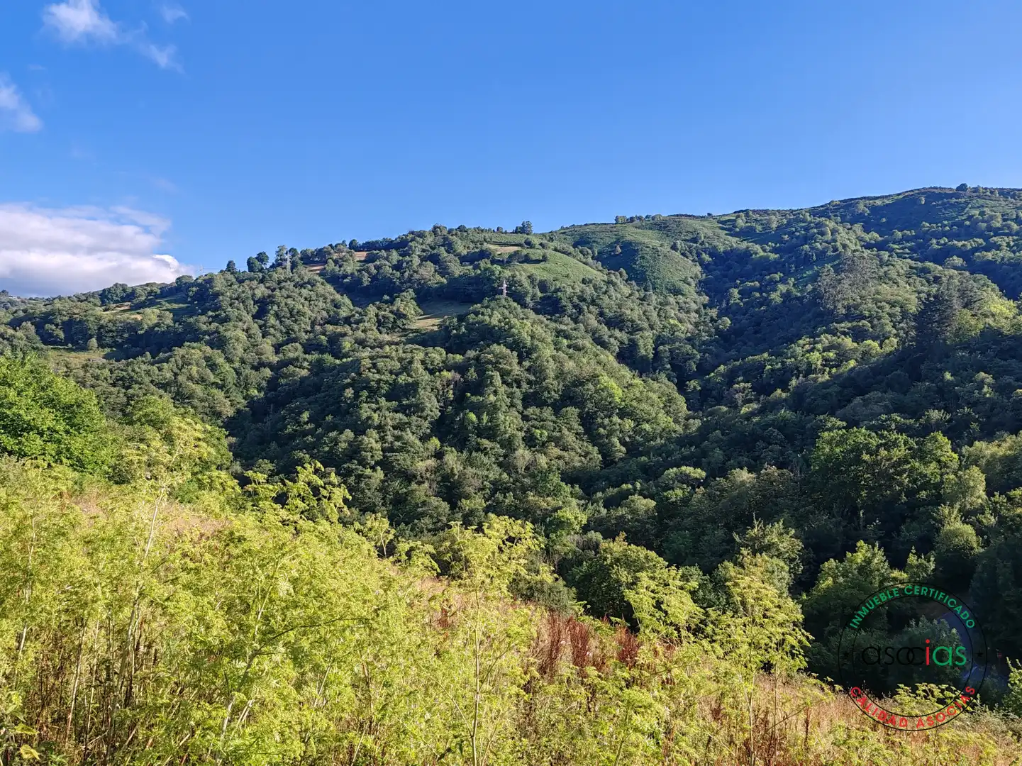 Casa o xalet en venda en Bimenes amb Jardí privat