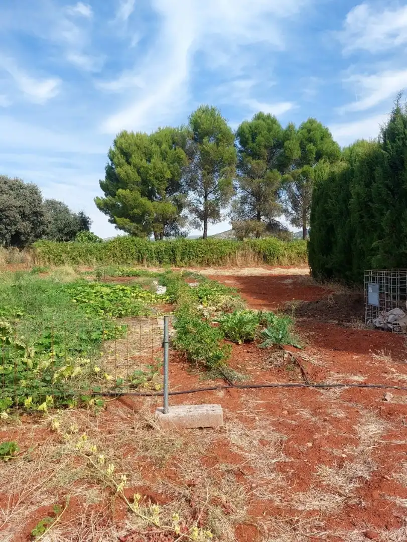 Country homes for rent in Argamasilla de Calatrava, Ciudad Real