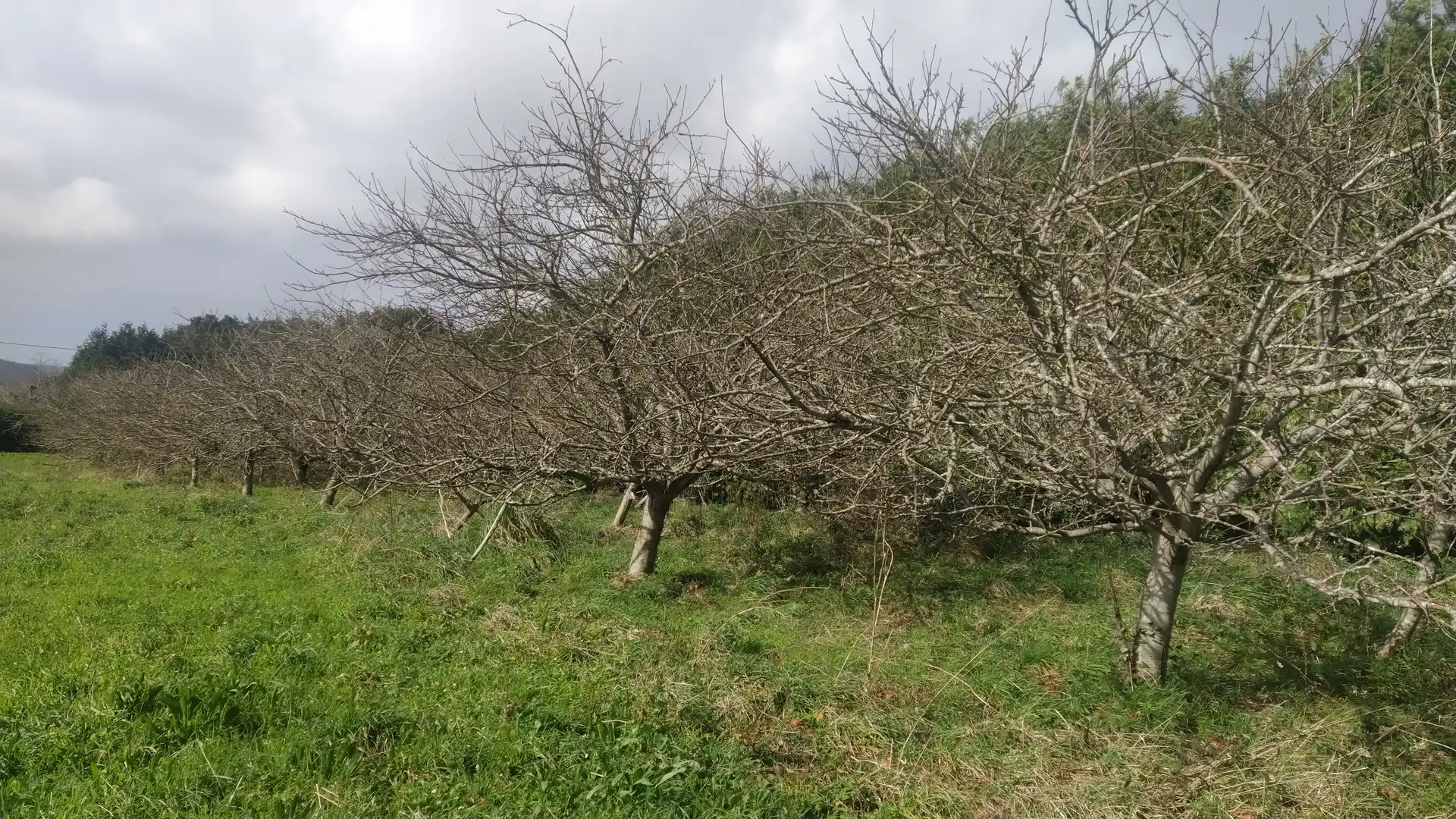 Terreno residencial en venta en Lugar Barral 24, imagen 2