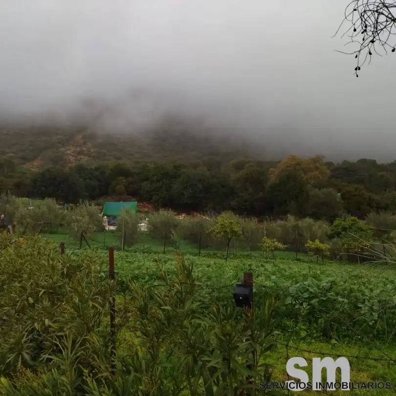 Terreni e lotti in vendita a Benaocaz, imagen 15