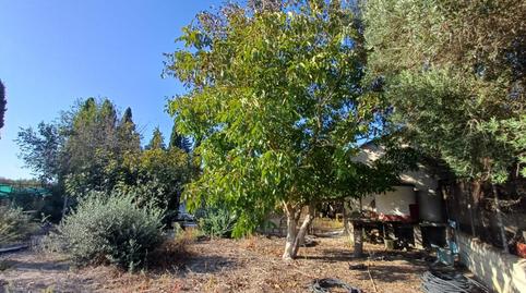 Photo 4 of Country house for sale in Parque Atlántico - Ronda este, Jerez de la Frontera