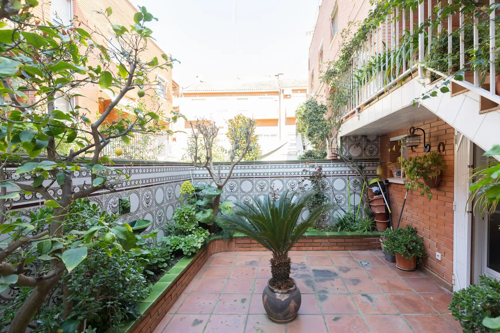 House with terrace for sale in Zona alta, imagen 5