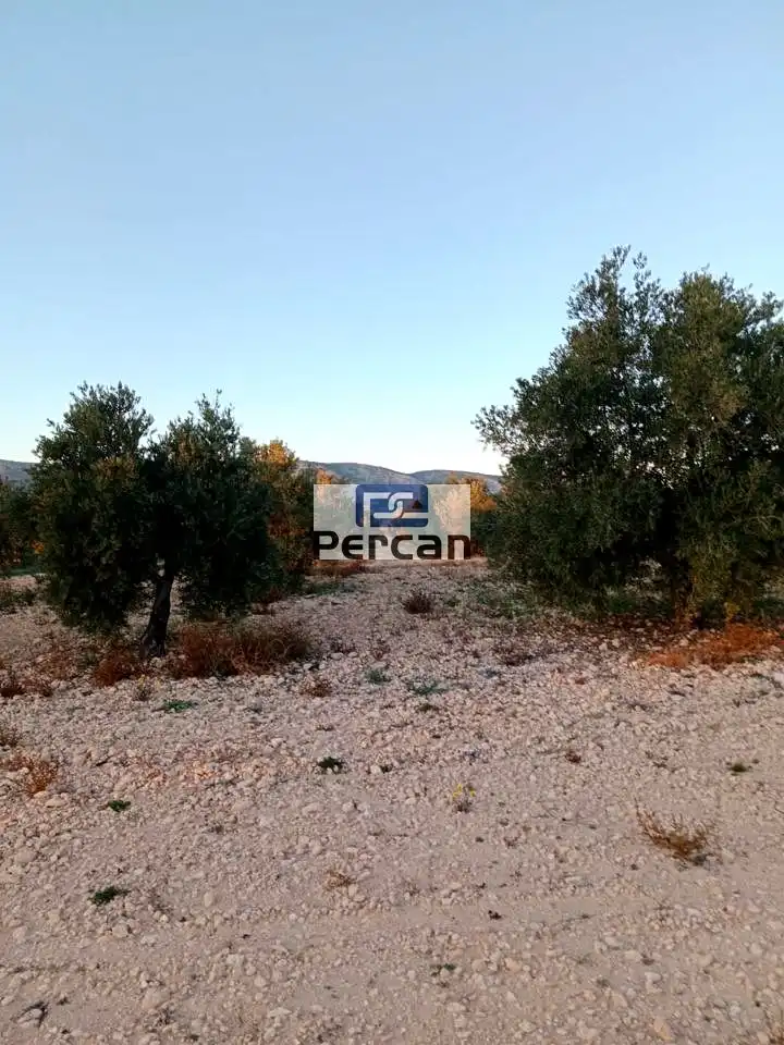 Terrenos y solares en venta en Mariscal, imagen 3