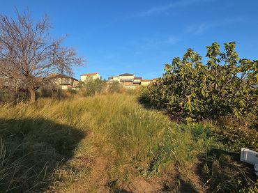 Terreno rústico en venta en Sant Llorenç d'Hortons