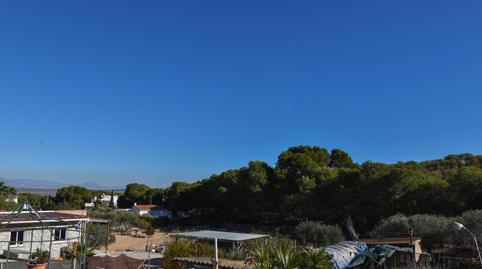 Photo 3 of Country house for sale in Partida Marina, La Marina, Elche / Elx