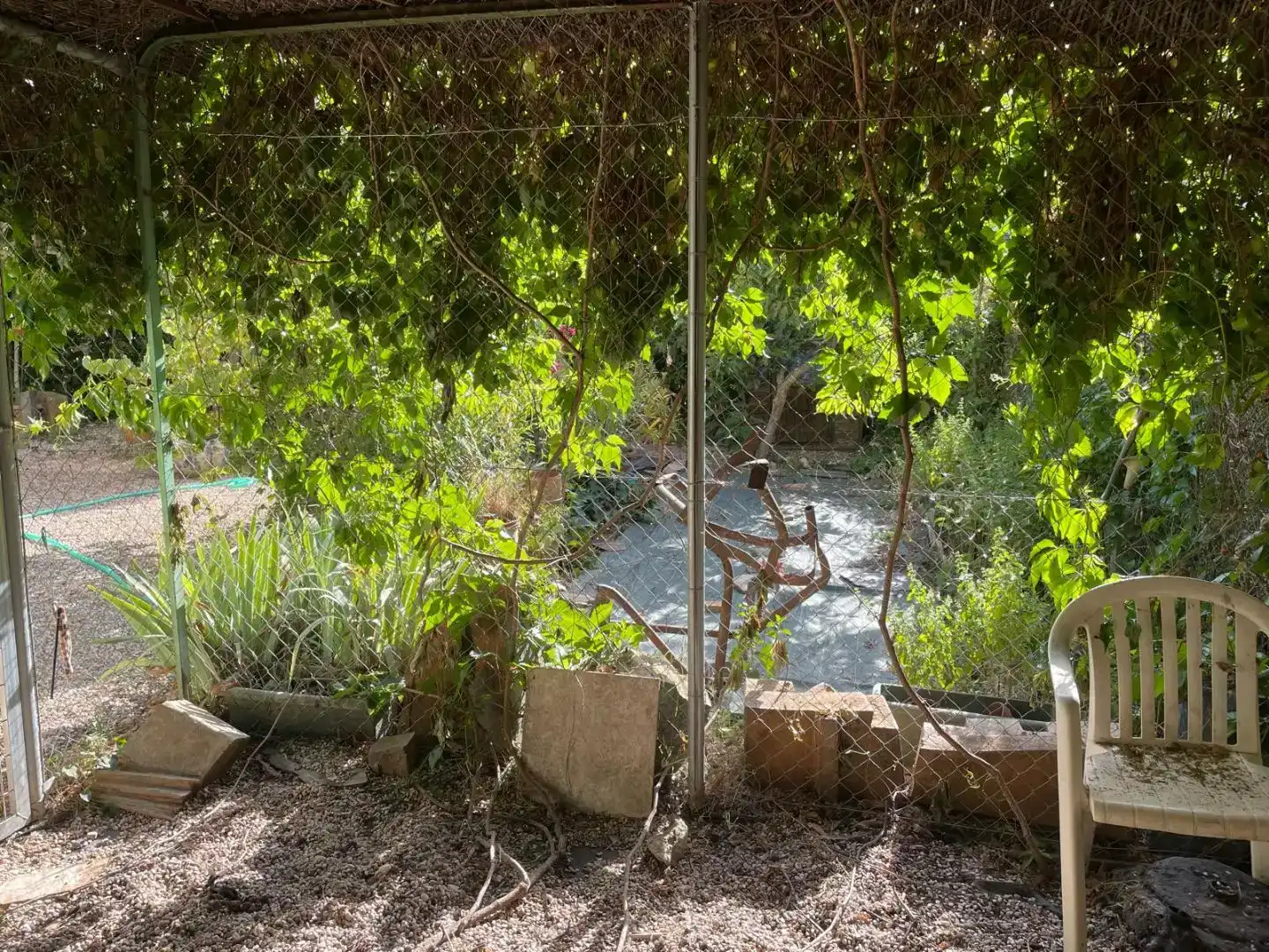 Jardí de Casa o xalet en venda en Collado Villalba amb Piscina
