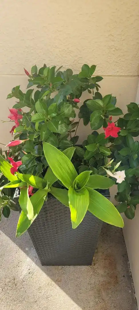 Flat for rent in Valdoviño, A Coruña