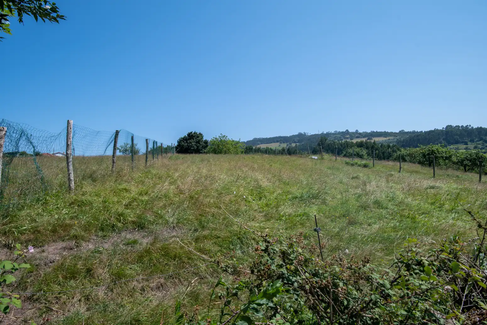 Terreny residencial en venda a Venta de las Ranas - Venta Las Ranas