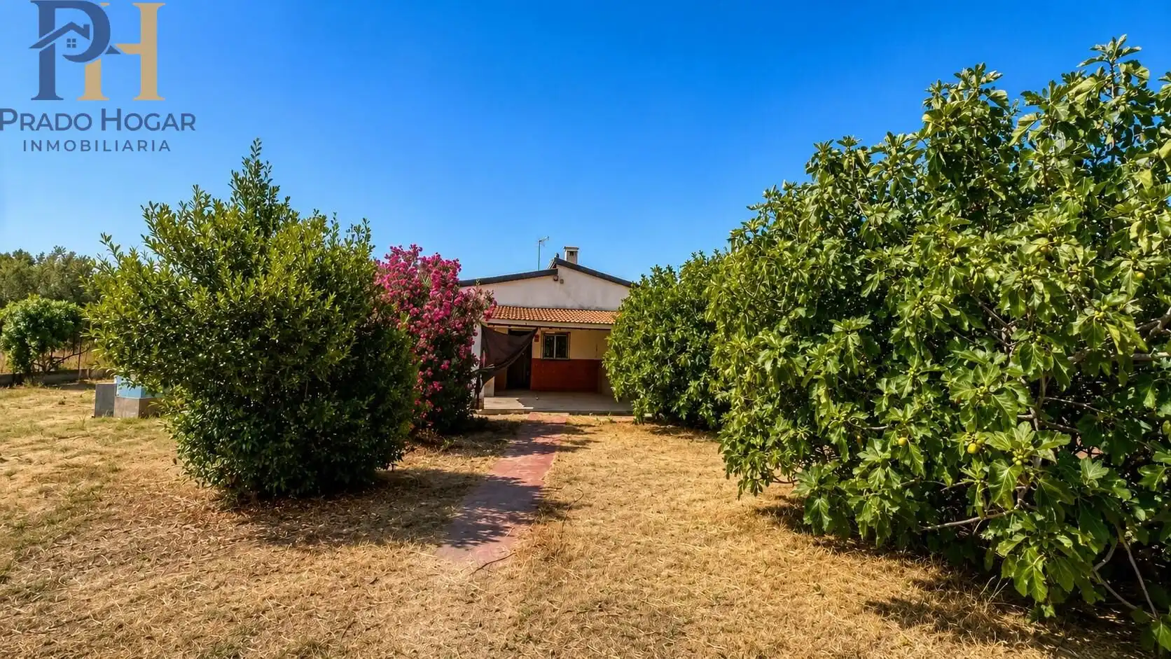 Exterior view of Houses for sale in Cebolla  with Private garden and Swimming Pool