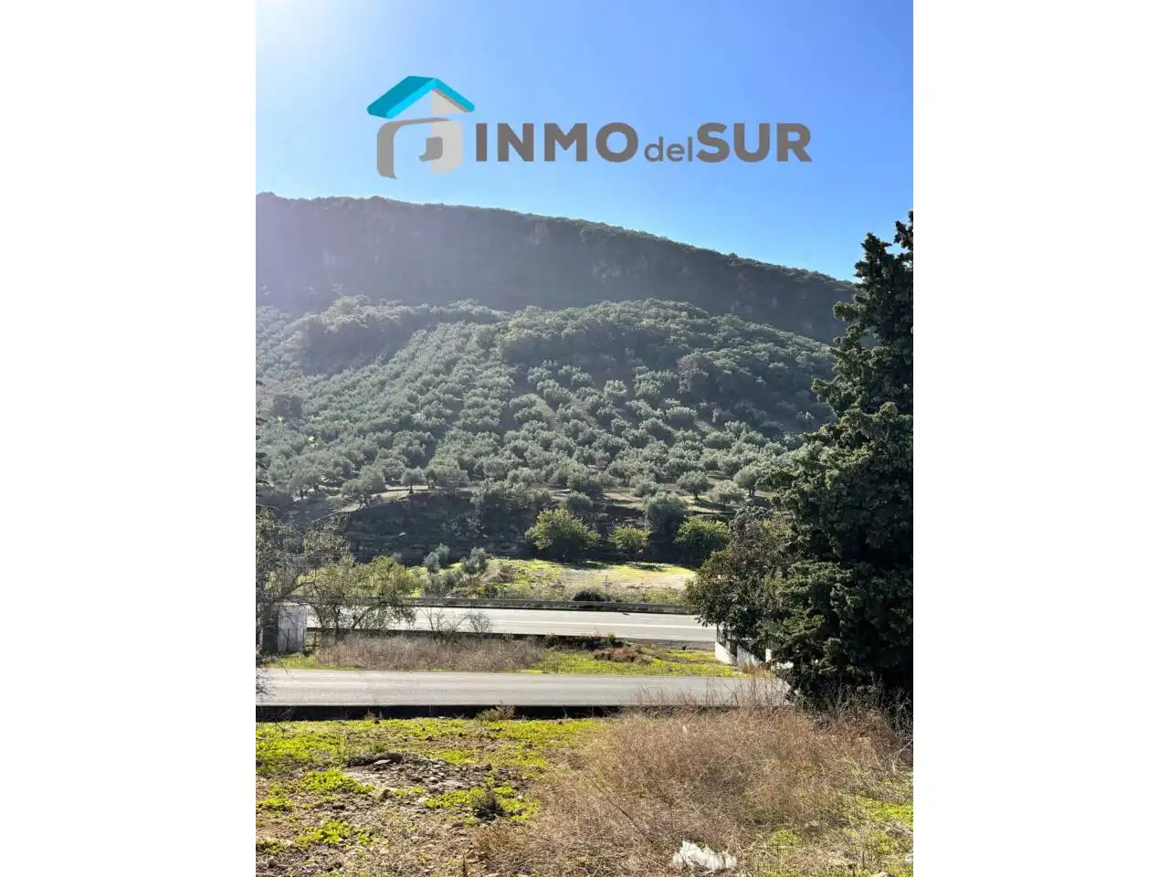 Vista exterior de Finca rústica en venda en Cabra amb Jardí privat