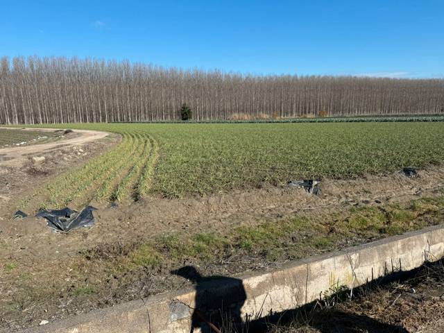 Terreno en Venta en GR-3404, 105 en Chauchina