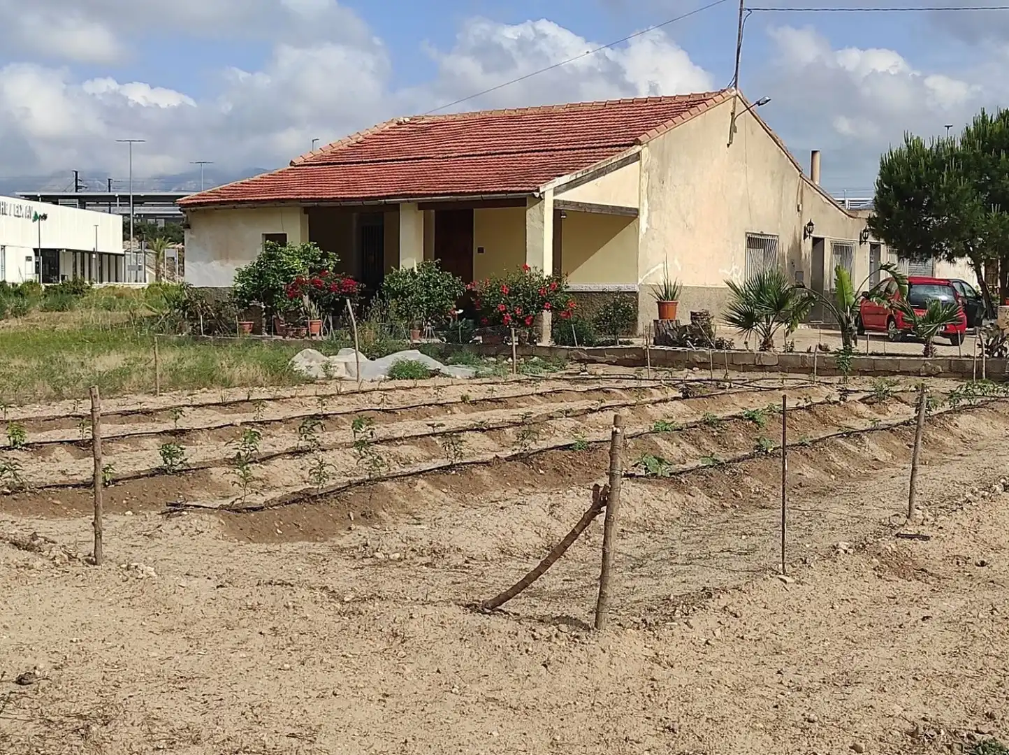 Terrain rustique à vendre à Partida Matola, imagen 8