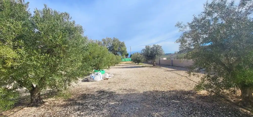 Casa o xalet en venda en Monóvar  / Monòver