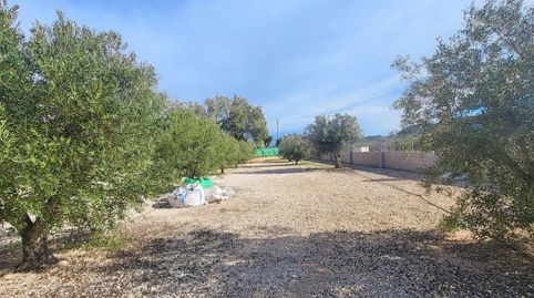 Foto 5 de Casa o xalet en venda a N/a, -1, Monóvar / Monòver, Alicante