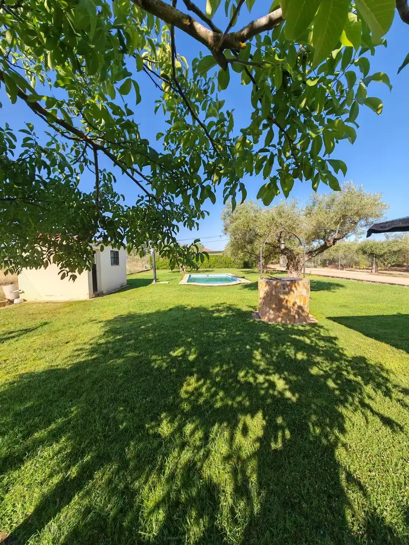 Jardín de Casa o chalet en venta en Medellín con Terraza