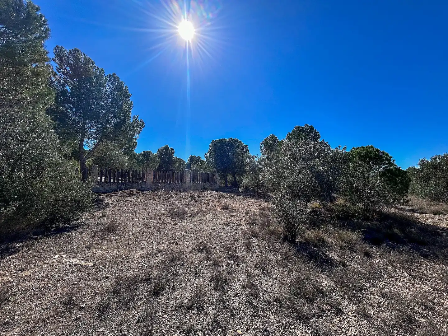 Casa en venta en Biar, imagen 44