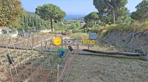 Terreno urbano con vistas mar orientado a sur, immagine 4