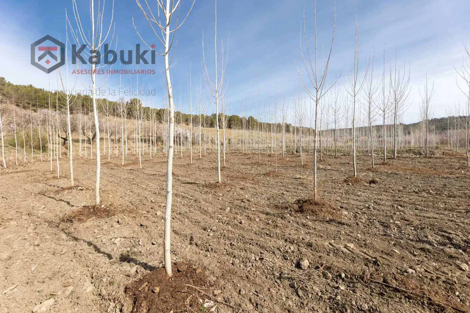 Terreni e lotti in vendita a Guadix - AUTE. VALLE DEL ZALABI, imagen 2