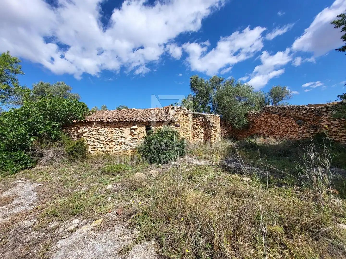 Terreno rustico in vendita a Traiguera, imagen 13
