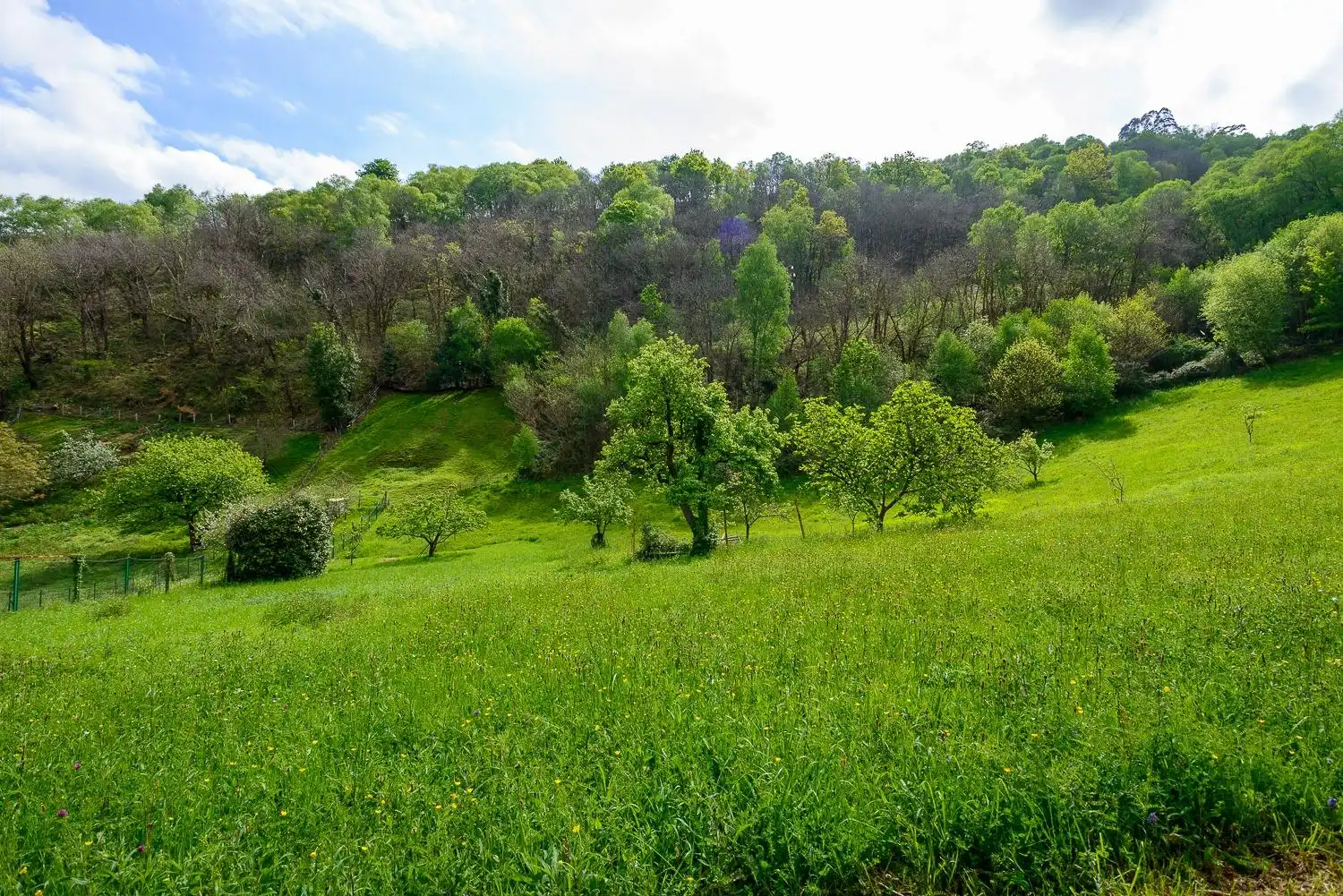 Land for sale in Mieres (Asturias)
