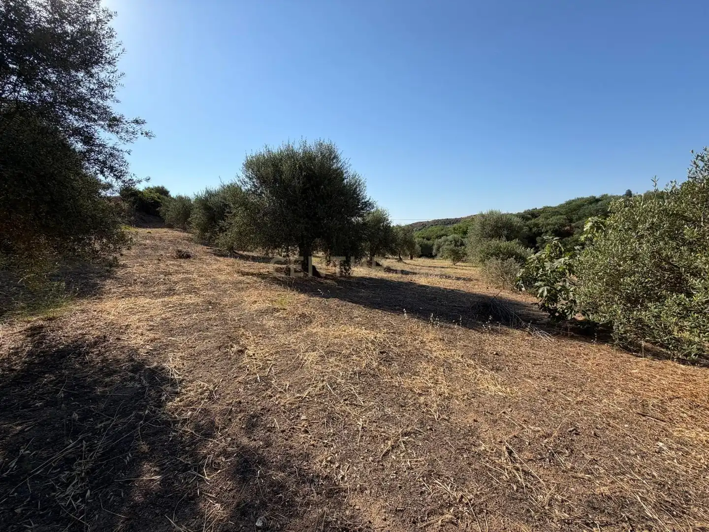 Terreni e lotti in vendita a Polígono 14 Parcela 58 ENTRE RIOS. MIJAS (MÁLAGA), imagen 5