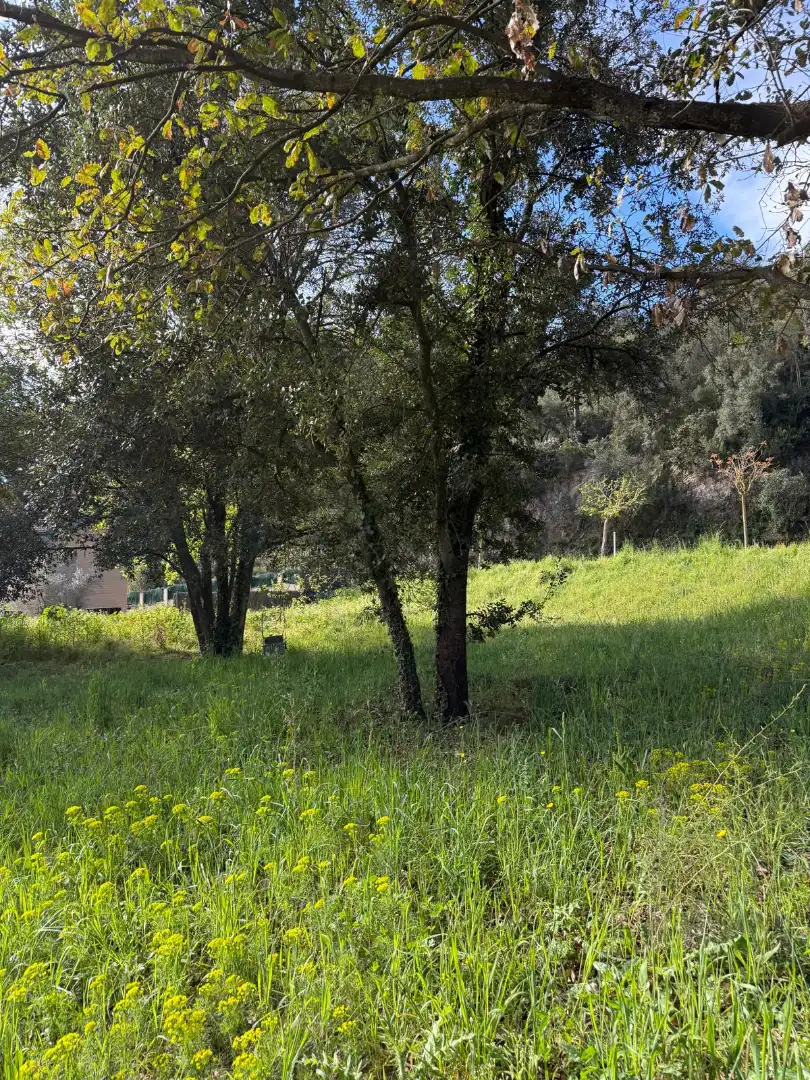 Wohnbaugrundstück zum Verkauf in Passeig de Can Figueres 33, imagen 13